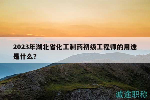 2023年湖北省化工制药初级工程师的用途是什么？