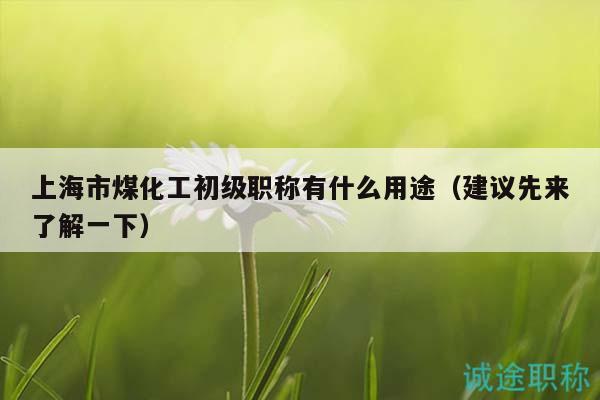 上海市煤化工初级职称有什么用途（建议先来了解一下）