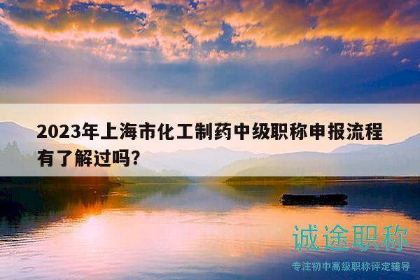 2023年上海市化工制药中级职称申报流程有了解过吗？