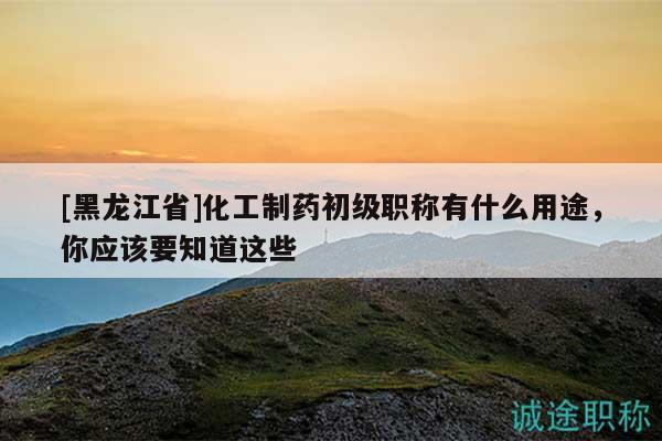 [黑龙江省]化工制药初级职称有什么用途，你应该要知道这些