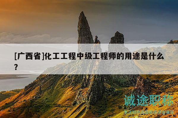 [广西省]化工工程中级工程师的用途是什么？