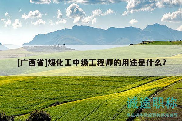 [广西省]煤化工中级工程师的用途是什么？