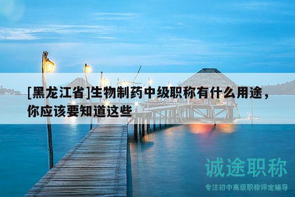[黑龙江省]生物制药中级职称有什么用途，你应该要知道这些
