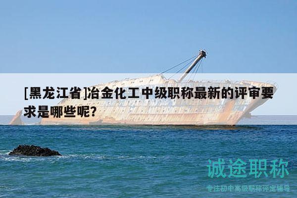 [黑龙江省]冶金化工中级职称最新的评审要求是哪些呢？