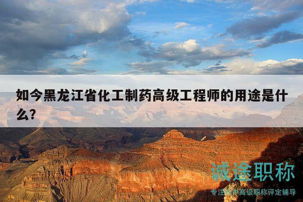 如今黑龙江省化工制药高级工程师的用途是什么？