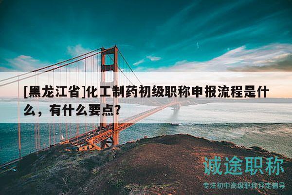 [黑龙江省]化工制药初级职称申报流程是什么，有什么要点？