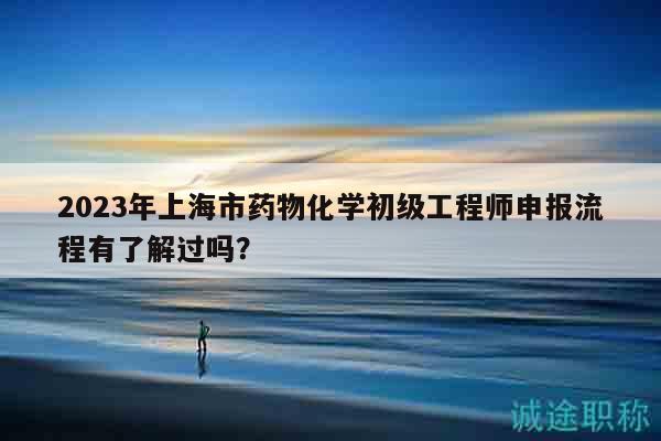 2023年上海市药物化学初级工程师申报流程有了解过吗？