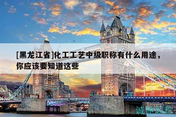 [黑龙江省]化工工艺中级职称有什么用途，你应该要知道这些