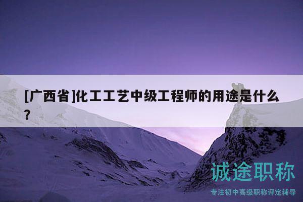 [广西省]化工工艺中级工程师的用途是什么？