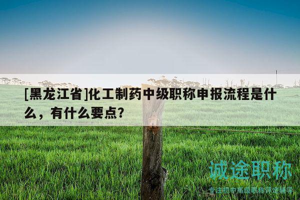 [黑龙江省]化工制药中级职称申报流程是什么，有什么要点？
