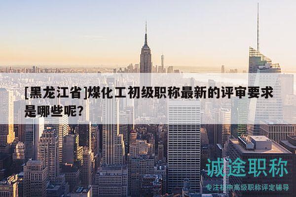 [黑龙江省]煤化工初级职称最新的评审要求是哪些呢？