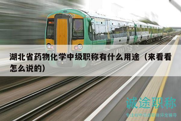 湖北省药物化学中级职称有什么用途（来看看怎么说的）