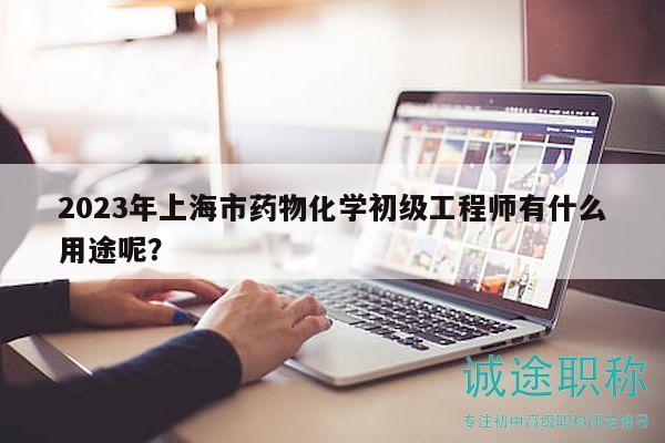 2023年上海市药物化学初级工程师有什么用途呢？