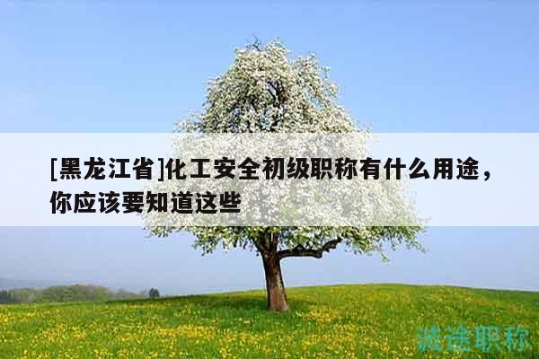 [黑龙江省]化工安全初级职称有什么用途，你应该要知道这些