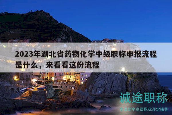 2023年湖北省药物化学中级职称申报流程是什么，来看看这份流程