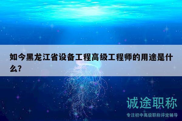 如今黑龙江省设备工程高级工程师的用途是什么？