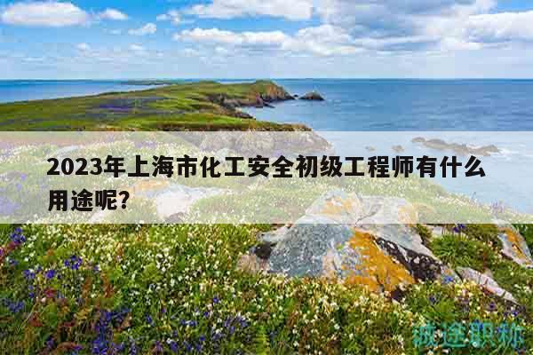 2023年上海市化工安全初级工程师有什么用途呢？