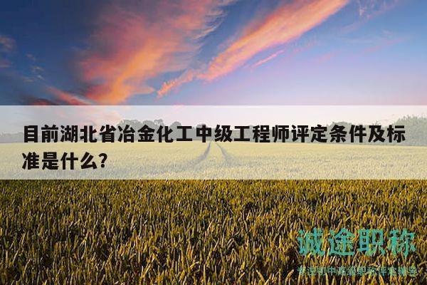 目前湖北省冶金化工中级工程师评定条件及标准是什么？