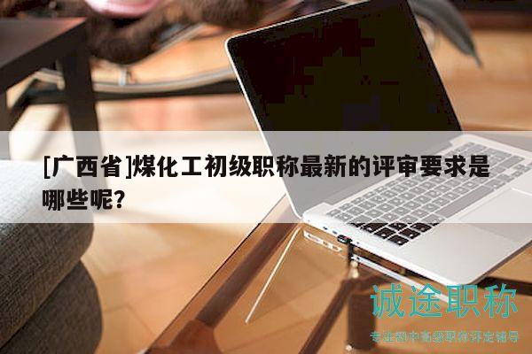 [广西省]煤化工初级职称最新的评审要求是哪些呢？