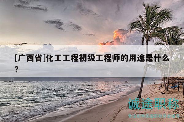 [广西省]化工工程初级工程师的用途是什么？
