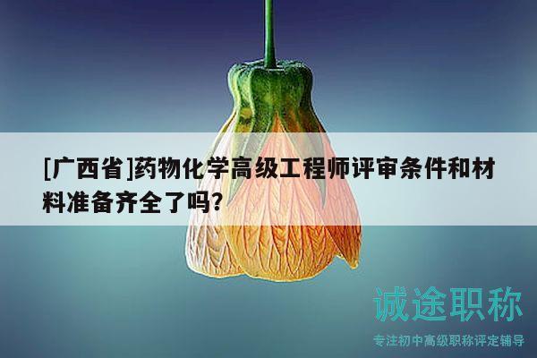 [广西省]药物化学高级工程师评审条件和材料准备齐全了吗？