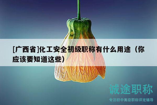 [广西省]化工安全初级职称有什么用途（你应该要知道这些）