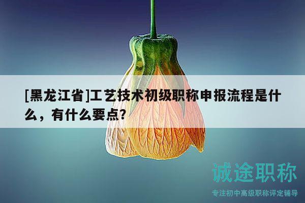 [黑龙江省]工艺技术初级职称申报流程是什么，有什么要点？
