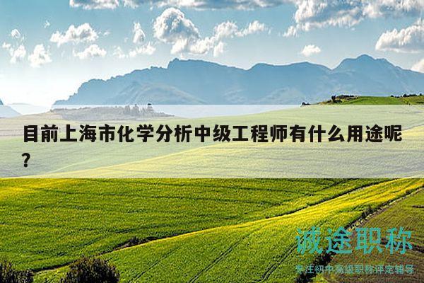 目前上海市化学分析中级工程师有什么用途呢？