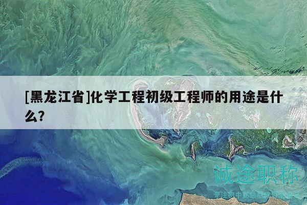 [黑龙江省]化学工程初级工程师的用途是什么？