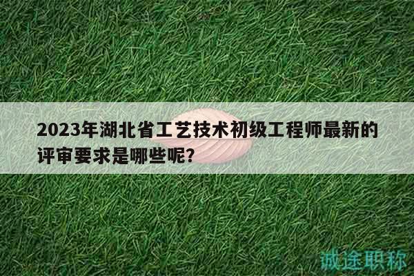 2023年湖北省工艺技术初级工程师最新的评审要求是哪些呢？