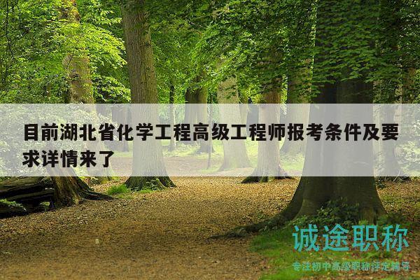目前湖北省化学工程高级工程师报考条件及要求详情来了