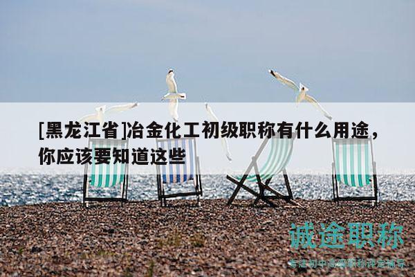 [黑龙江省]冶金化工初级职称有什么用途，你应该要知道这些
