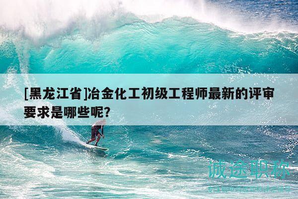 [黑龙江省]冶金化工初级工程师最新的评审要求是哪些呢？