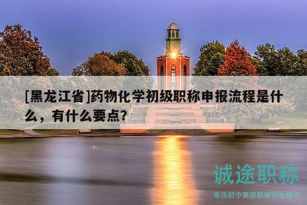 [黑龙江省]药物化学初级职称申报流程是什么，有什么要点？