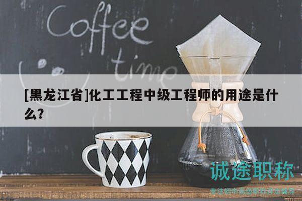 [黑龙江省]化工工程中级工程师的用途是什么？