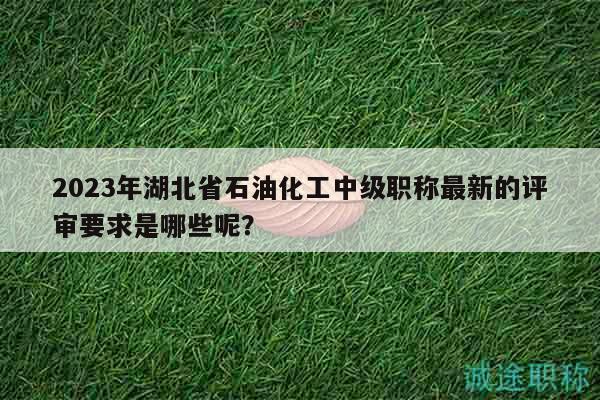 2023年湖北省石油化工中级职称最新的评审要求是哪些呢？