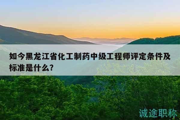 如今黑龙江省化工制药中级工程师评定条件及标准是什么？