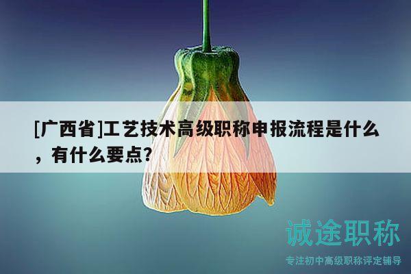 [广西省]工艺技术高级职称申报流程是什么，有什么要点？