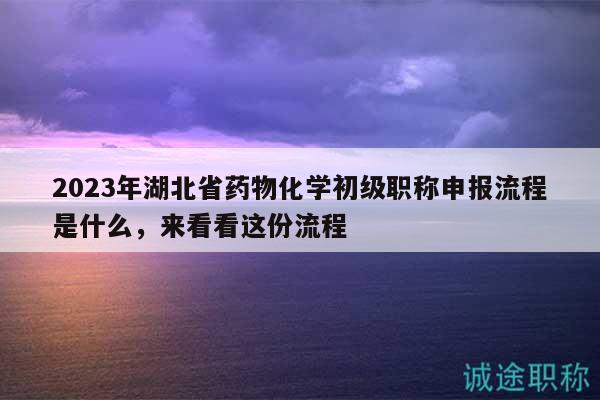 2023年湖北省药物化学初级职称申报流程是什么，来看看这份流程