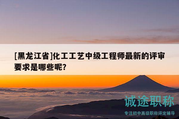 [黑龙江省]化工工艺中级工程师最新的评审要求是哪些呢？