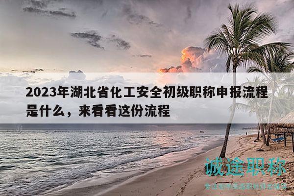 2023年湖北省化工安全初级职称申报流程是什么，来看看这份流程