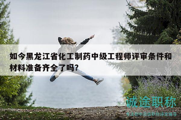 如今黑龙江省化工制药中级工程师评审条件和材料准备齐全了吗？