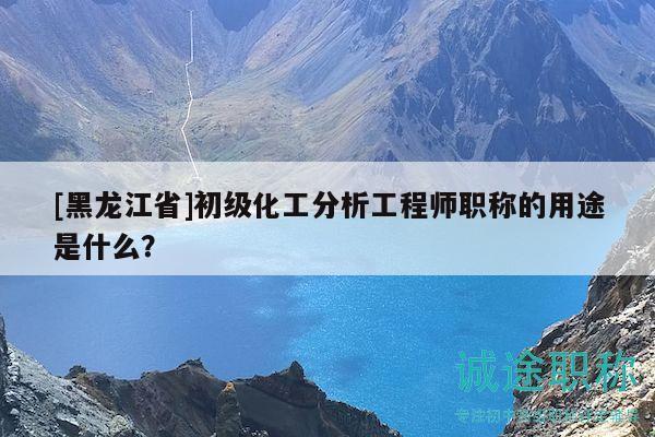 [黑龙江省]初级化工分析工程师职称的用途是什么？
