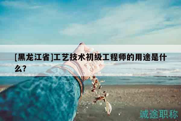 [黑龙江省]工艺技术初级工程师的用途是什么？