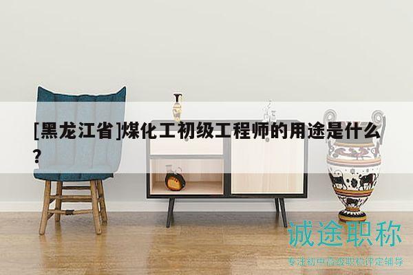 [黑龙江省]煤化工初级工程师的用途是什么？