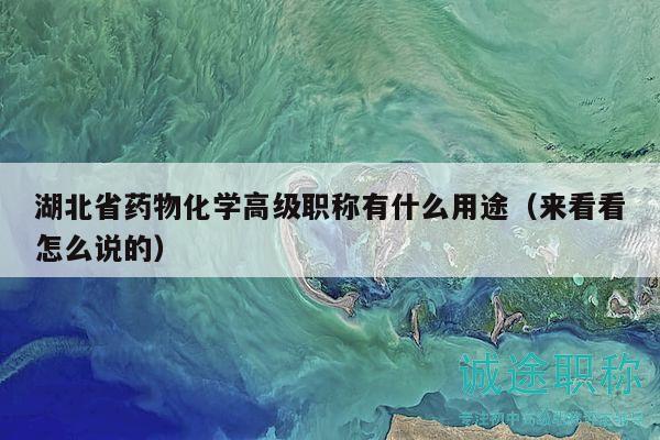 湖北省药物化学高级职称有什么用途（来看看怎么说的）