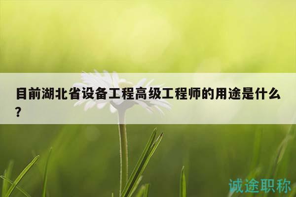 目前湖北省设备工程高级工程师的用途是什么？