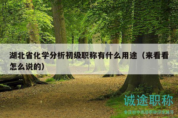 湖北省化学分析初级职称有什么用途（来看看怎么说的）