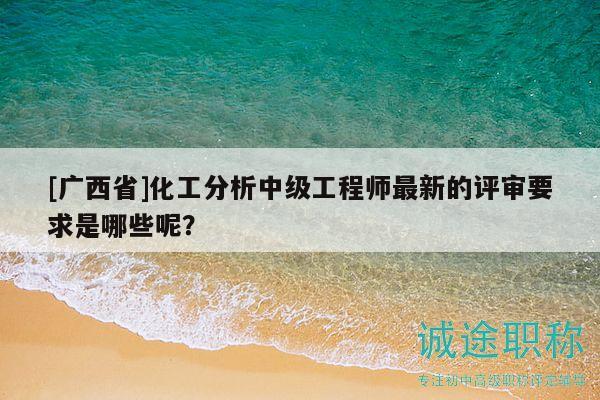 [广西省]化工分析中级工程师最新的评审要求是哪些呢？