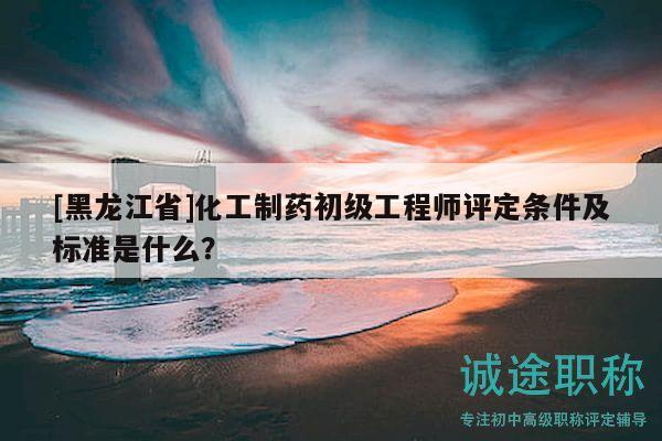 [黑龙江省]化工制药初级工程师评定条件及标准是什么？